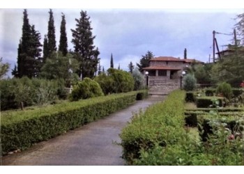 Parnassos (POLYDROSO) for sale a 223sqm stone house