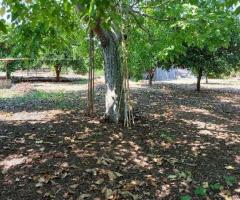 Αρκιτσα παραθαλασσια μονοκατοικια 67τμ σε οικοπεδο 1500 τμ - Image 16/17