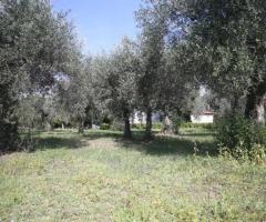 Δ. Αταλάντης Κυπαρίσσι, μονοκατοικία 145 τ.μ., 2 επίπεδα 72 και 72 τ.μ., - Image 13/15
