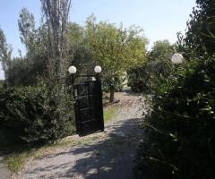 Δ. Αταλάντης Κυπαρίσσι, μονοκατοικία 145 τ.μ., 2 επίπεδα 72 και 72 τ.μ., - Image 14/15