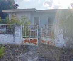 Χαιρωνεια Αγιος Βλασσιος μονοκατοικια 80τμ 2Υ/Δ σε οικοπεδο 100τμ