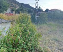 Χαιρωνεια Αγιος Βλασσιος μονοκατοικια 80τμ 2Υ/Δ σε οικοπεδο 100τμ - Image 5/18