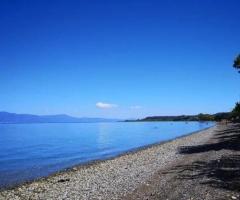 Λειβανατες μονοκατοικια 2οροφη σε οικοπεδο 5000τμ - Image 16/17