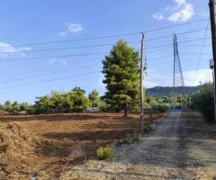 Λειβανατες μονοκατοικια 2οροφη σε οικοπεδο 5000τμ - Image 17/17