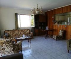 Αρκιτσα Αχλαδες μονοκατοικια 235τμ σε 1500τμ οικοπεδο - Image 7/18