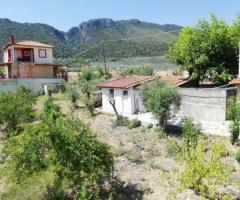 Αρκιτσα Αχλαδες μονοκατοικια 235τμ σε 1500τμ οικοπεδο - Image 11/18