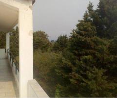Αρκιτσα 2 μεζονετες 510τμ συνολο σε 4 στρεμματα οικοπεδο - Image 5/18