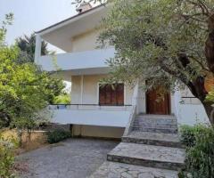 Αρκιτσα 2 μεζονετες 510τμ συνολο σε 4 στρεμματα οικοπεδο - Image 15/18
