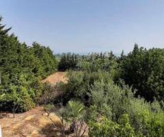 Αρκιτσα 2 μεζονετες 510τμ συνολο σε 4 στρεμματα οικοπεδο - Image 8/18