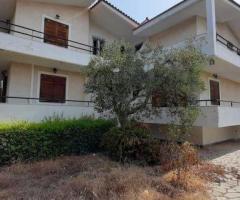 Αρκιτσα 2 μεζονετες 510τμ συνολο σε 4 στρεμματα οικοπεδο
