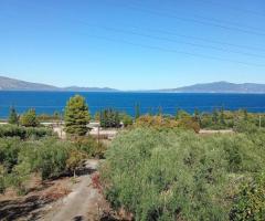 Λειβανατες μονοκατοικια 2οροφη σε οικοπεδο 5000τμ