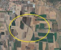 Ελατεια  αγροκτημα 90 στρεμματα με γεωτρηση