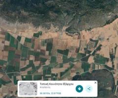 Φθιωτιδα προφητης Ηλιας 120 στρεμματα ενιαιο