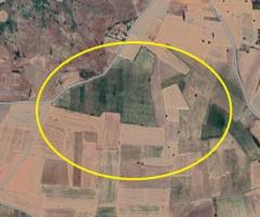 Θηβα 85000τμ βιομηχανικο αγροτεμαχιο