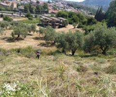 Καμμενα βουρλα οικισμος 20 στρεμματα με θεα θαλασσα - Image 7/7