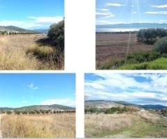 Στυλιδα 200 στρεμματα αγροτεμαχιο 50 μετρα απο την θαλασσα