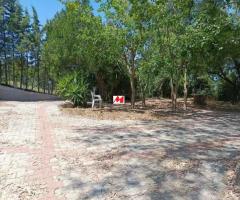 Αταλαντη Πώληση κατοικίας, 114 τ.μ στο βουνο - Image 17/18