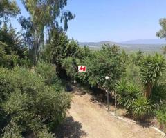 Αταλαντη Πώληση κατοικίας, 114 τ.μ στο βουνο - Image 18/18