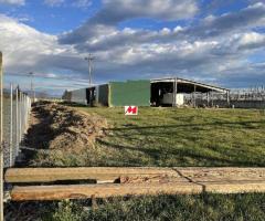 Αταλαντη κτιριο 2000τμ σε οικοπεδο 12.000τμ με οικια 100τμ - Image 7/8