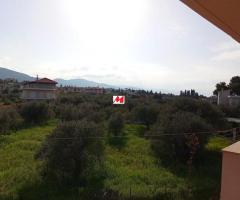 Αρκιτσα 65τμ 2ου οροφου 2 Υπνοδωματια ,θεα θαλασσα LUX 50μ απο παραλια - Image 11/11