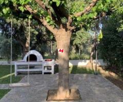Αρκιτσα Πωλείται επιπλωμένη μονοκατοικία 100 τ.μ. με μεγάλο κήπο - Image 11/14