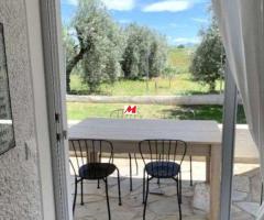 Αρκιτσα Πωλείται επιπλωμένη μονοκατοικία 100 τ.μ. με μεγάλο κήπο - Image 12/14