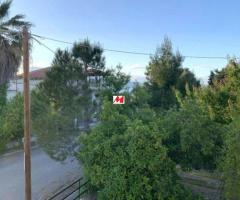 Αρκιτσα Πωλείται επιπλωμένη μονοκατοικία 100 τ.μ. με μεγάλο κήπο - Image 13/14