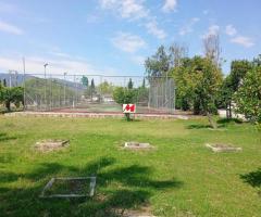 Λειβανατες βιλλα 650τμ εφαπτομενη στο κυμα σε 8 στρεμματα - Image 18/18