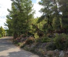 Θεολογος ΟΣΜΑΕΣ οικοπεδο 1009τμ