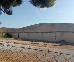 Τραγανα Αποθηκευτικό κτίριο 16.500 τ.μ. με ύψος 6,20 μ.