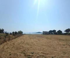 Λειβανατες - Σκαλα Αταλαντης οικοπεδο 7500τμ με κτισμα εφαπτομενο στη θαλασσα - Image 3/3